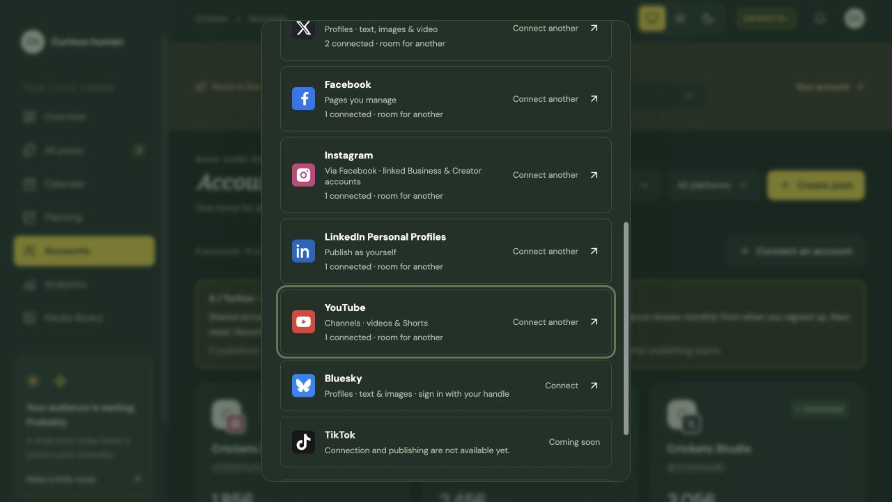 Additional platform choices including LinkedIn, YouTube and Bluesky